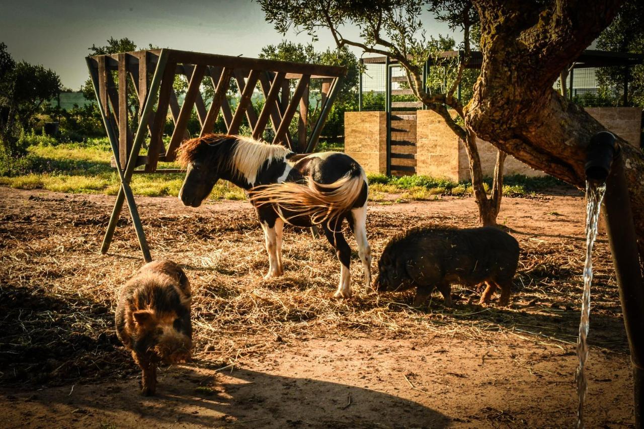 Tenuta Corano Nardò Εξωτερικό φωτογραφία