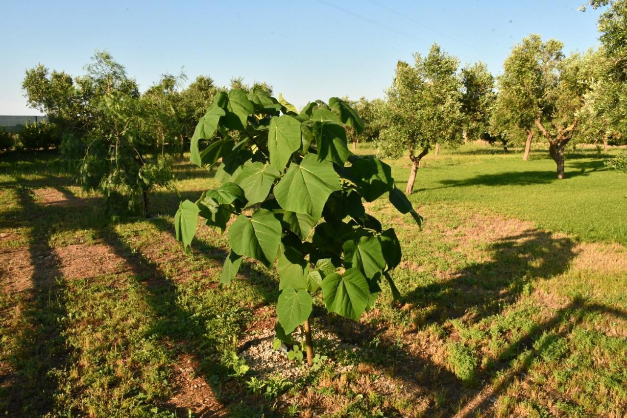 Tenuta Corano Nardò Εξωτερικό φωτογραφία