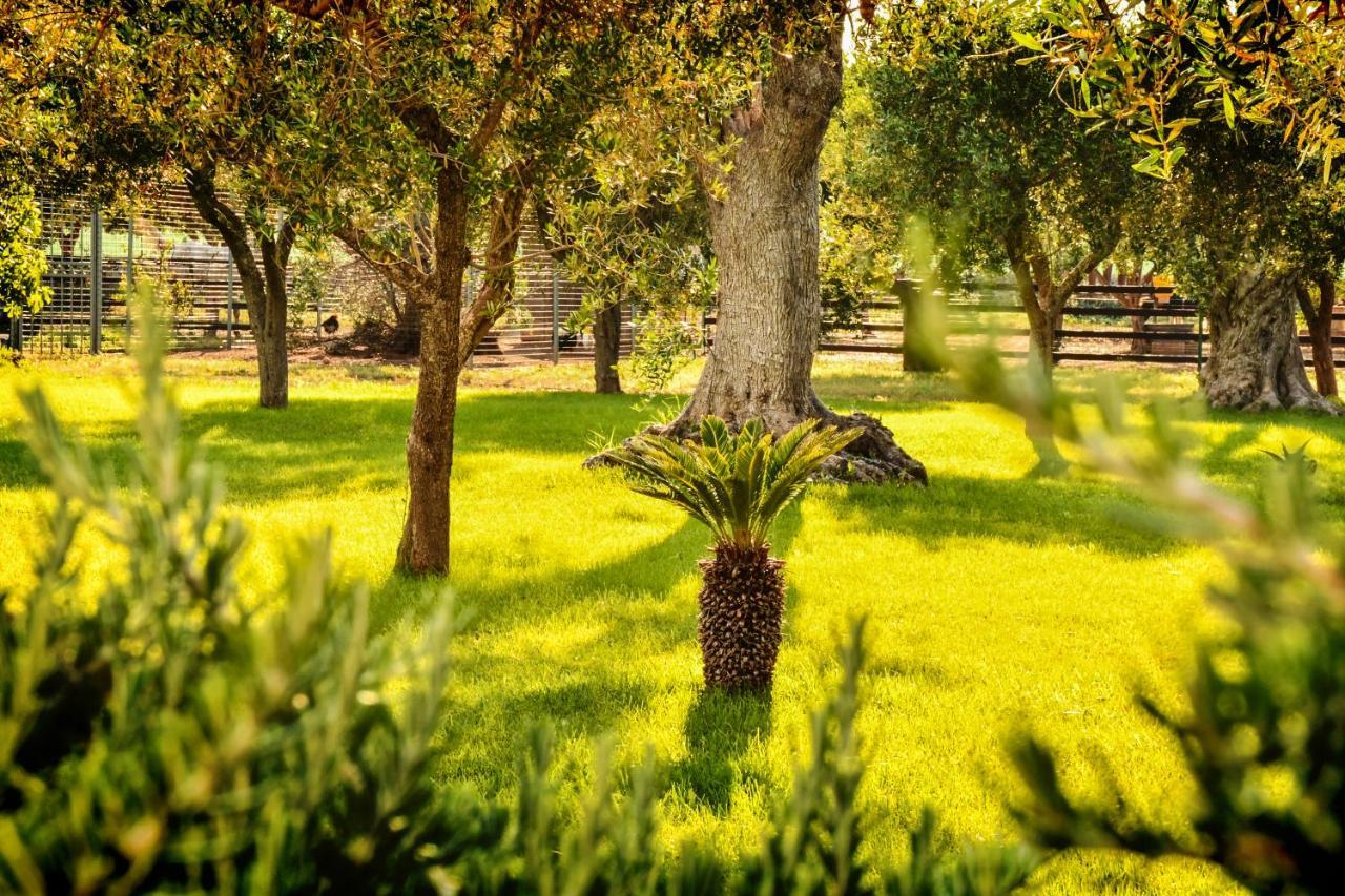 Tenuta Corano Nardò Εξωτερικό φωτογραφία